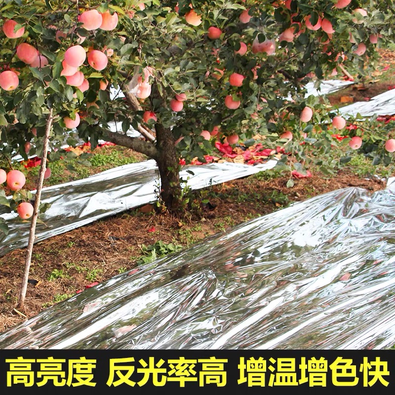 乌兰察布市防草布果树反光膜 - 价格